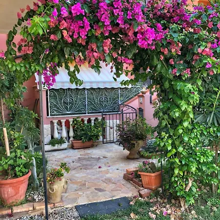 Regina * Санта-Доменика