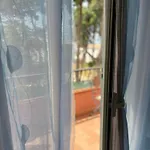 Apartment Regina Santa Domenica (Vibo Valentia)