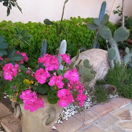 Regina Santa Domenica (Vibo Valentia)