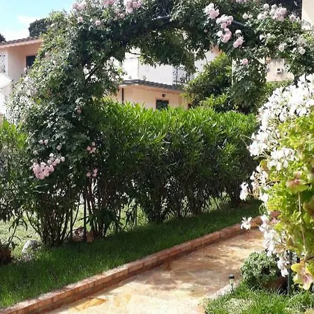 Regina Appartamento
