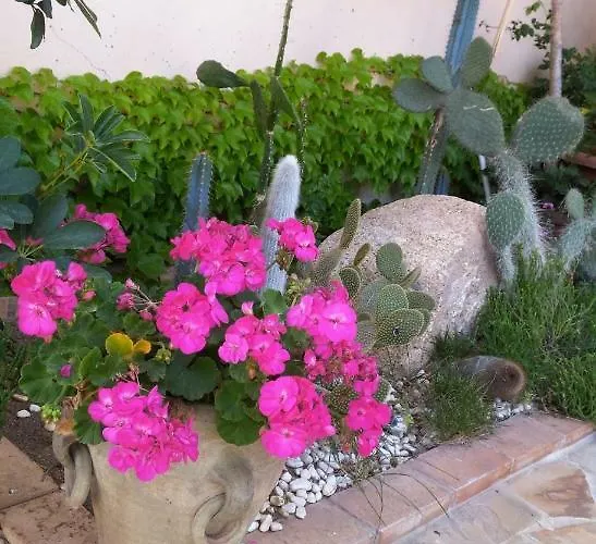 Regina Santa Domenica (Vibo Valentia)